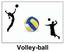 SECTION VOLLEY_BALL 
