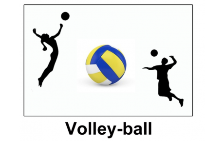 SECTION VOLLEY_BALL 