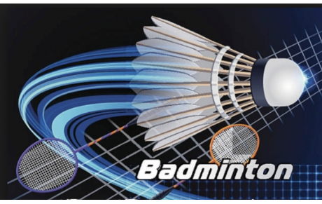 SECTION BADMINTON
