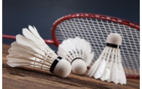 BADMINTON D3