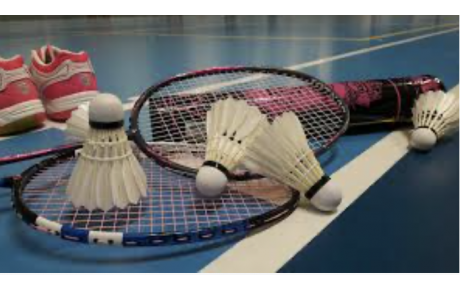 BADMINTON D4