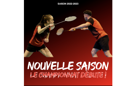BADMINTON D4
