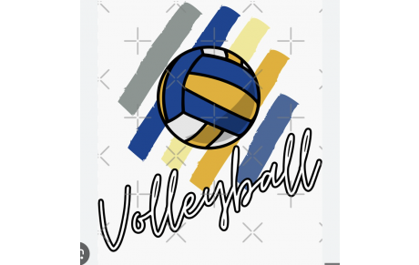 SECTION VOLLEY - BALL